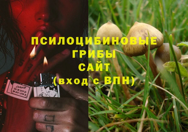 гидра Пересвет