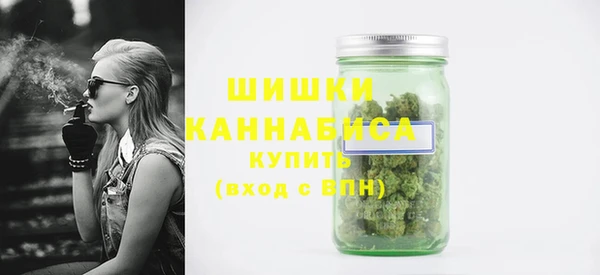 хмурый Пестово