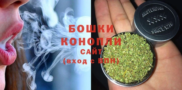 гидра Пересвет