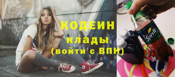 хмурый Пестово