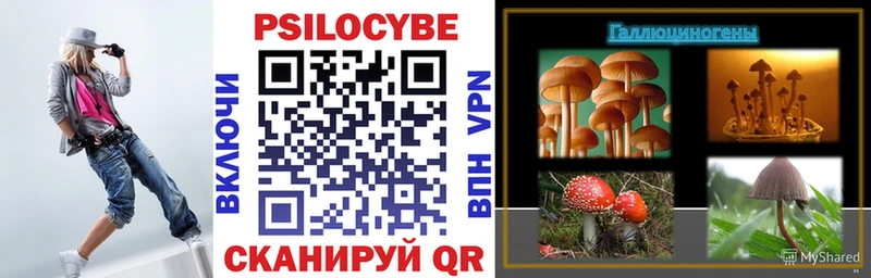 Псилоцибиновые грибы Psilocybine cubensis  kraken как войти  Инта  наркошоп 